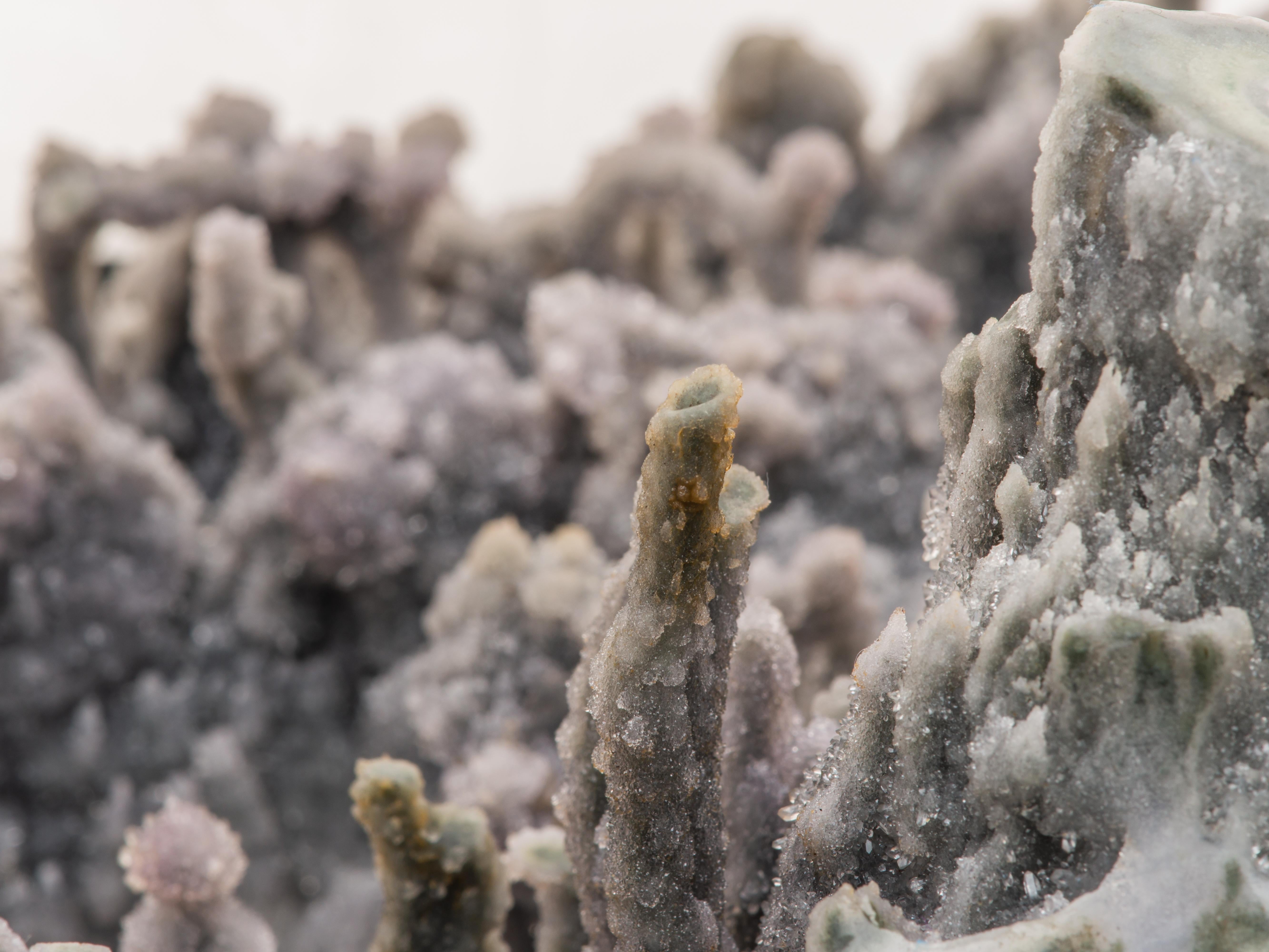 Geode rotondo simile al corallo con bordi lucidi in vendita 12