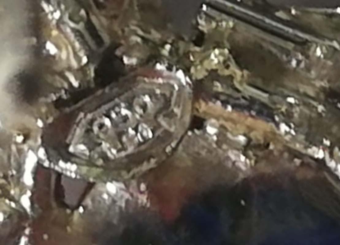 Donna Coral, Onyx, Garnets, Diamonds, Platinum Fly Earrings. in vendita