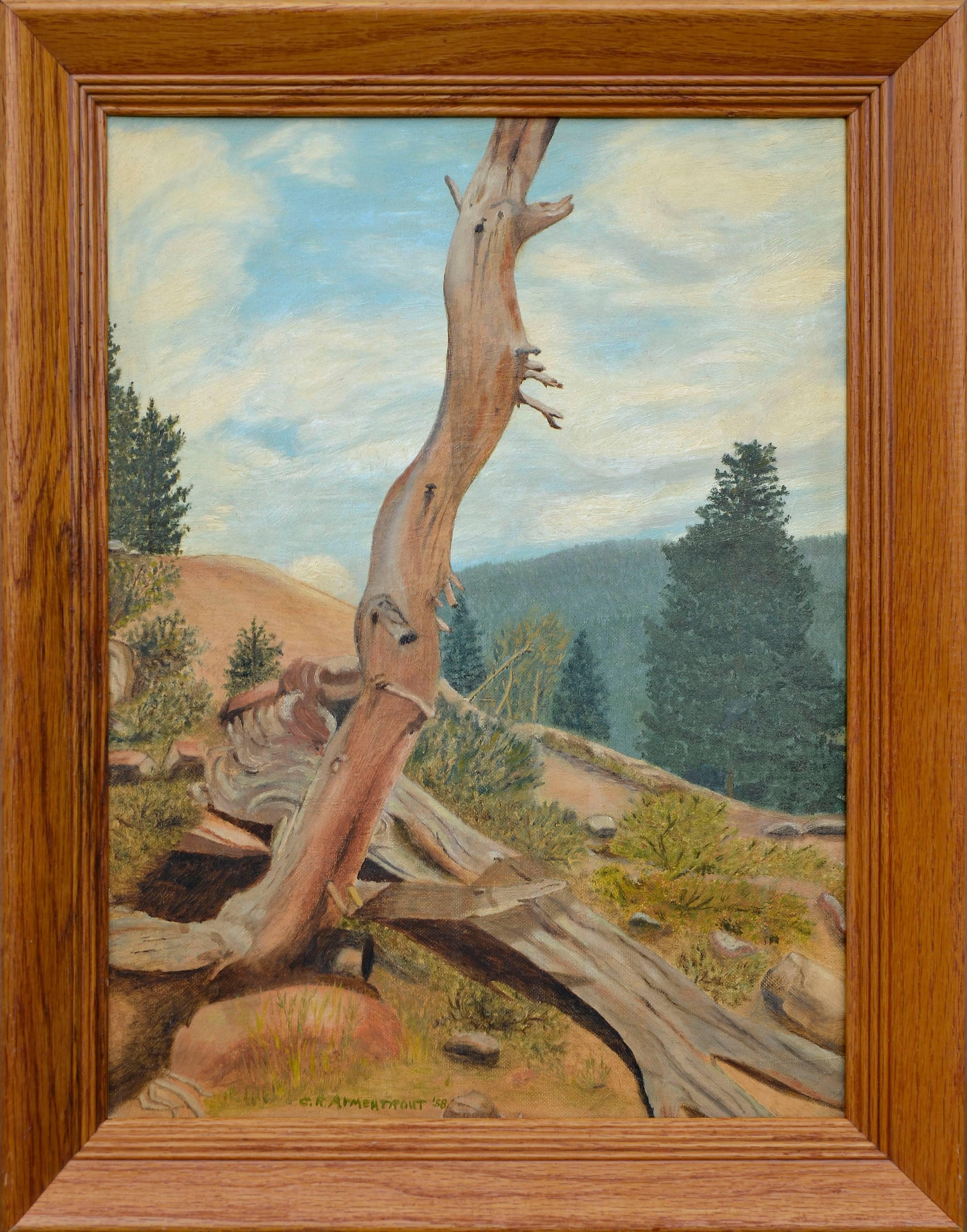 Coral R. Armentrout Landscape Painting - "Struggle at Timber Line, Rocky Mountain National Park, Colorado" - Landscape