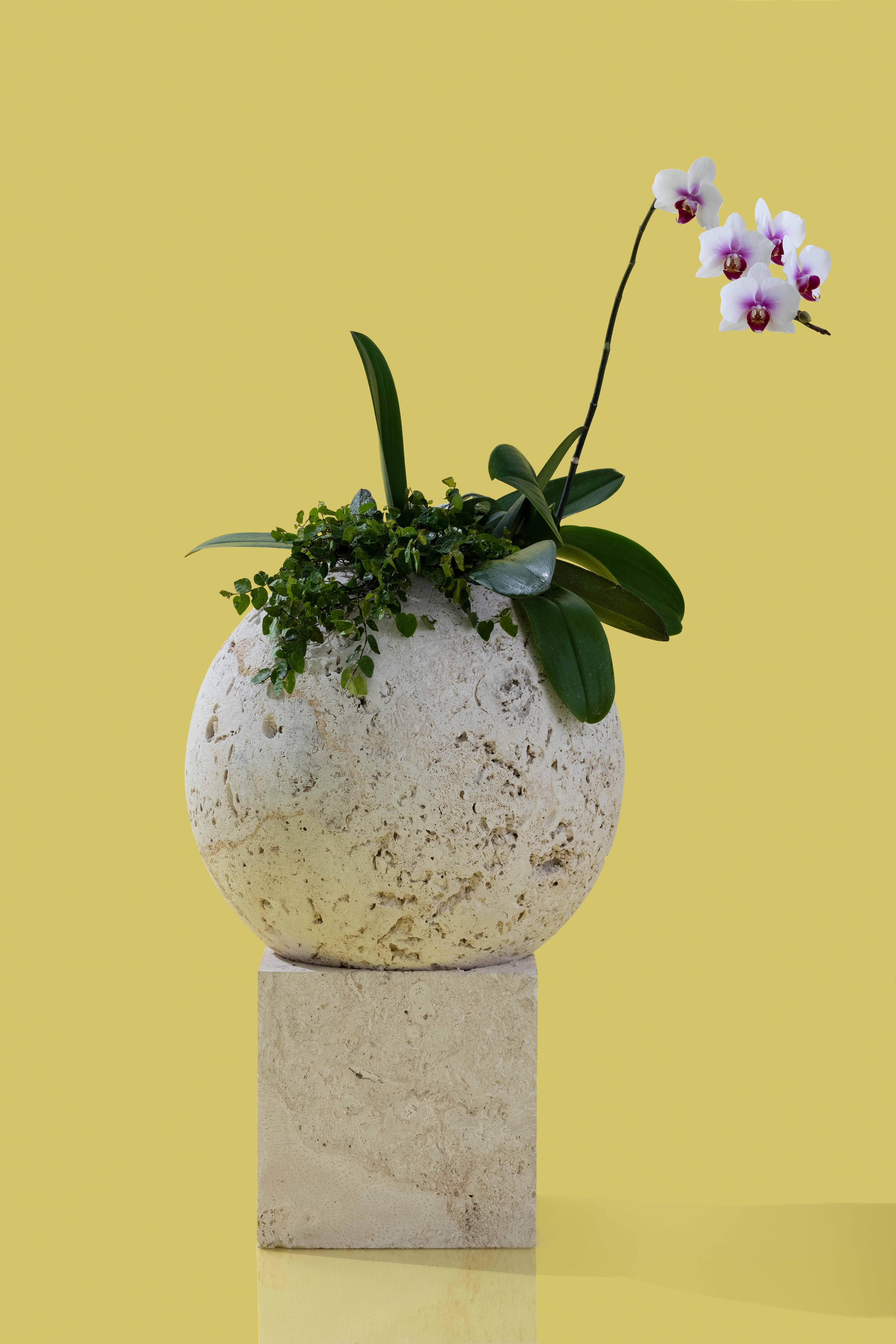 Made to order Florida keystone planter with base. 16” diameter 10x10” base.

Inspired by Coral Castle, an oolite limestone structure
created by the Latvian-American eccentric Edward
Leedskalnin in the 1920’s during a time where there was
no
