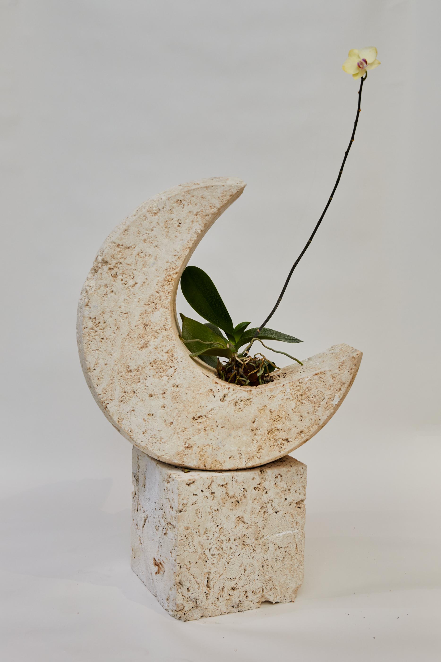 Sculpté La lune de roche corail en vente