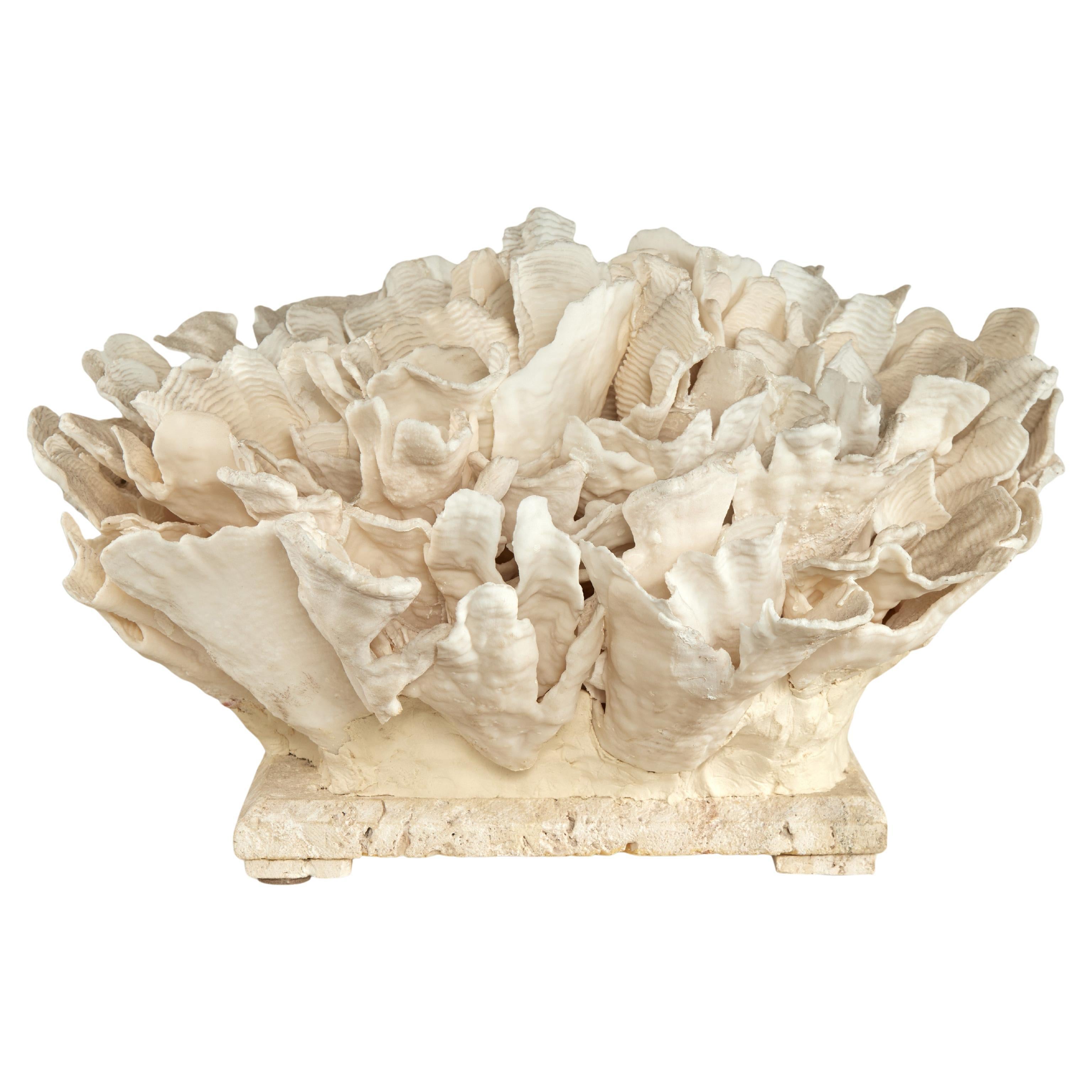 Coral Sculpture on Coquina Stone