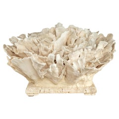 Coral Sculpture on Coquina Stone