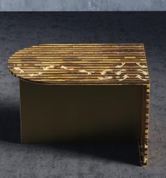 Coral Side Table In Tiger Eye Stone With Brass Inlay Accent