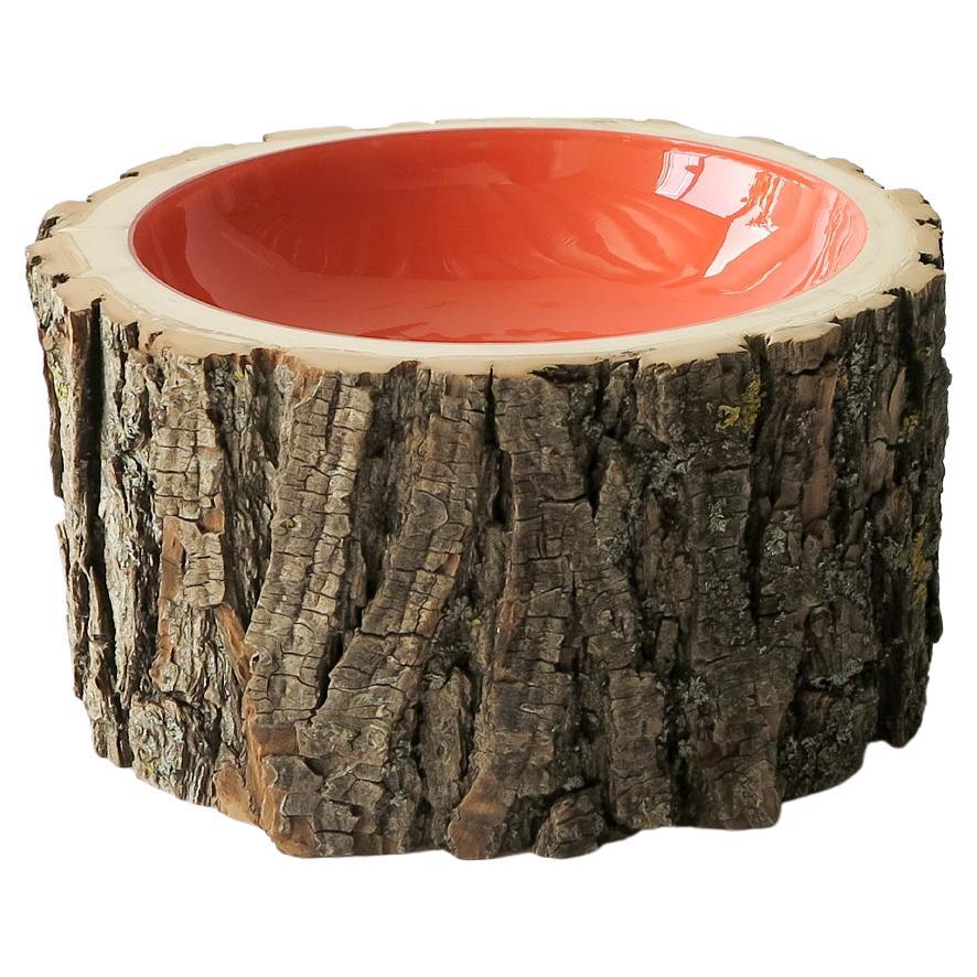 Coral Size 8 Log Bowl by Loyal Loot Hand Made from Reclaimed Wood For Sale