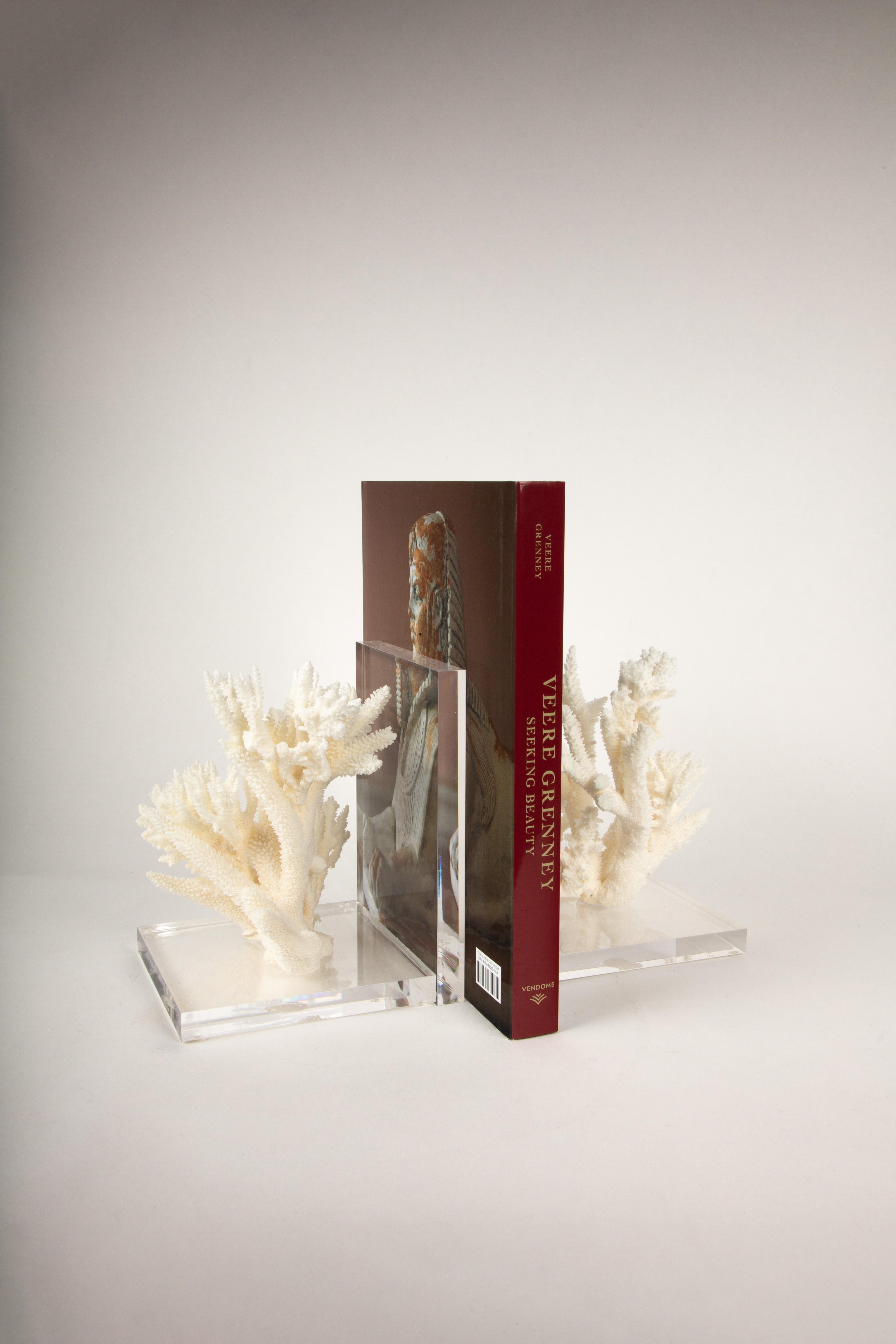 This elegant pair of bookends showcases natural coral specimens with sleek, clear plexiglass bases, creating a sophisticated and modern display. The contrast between the delicate, intricate coral formations and the minimalist acrylic structure makes