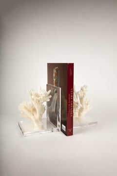 Coral Specimen Bookends