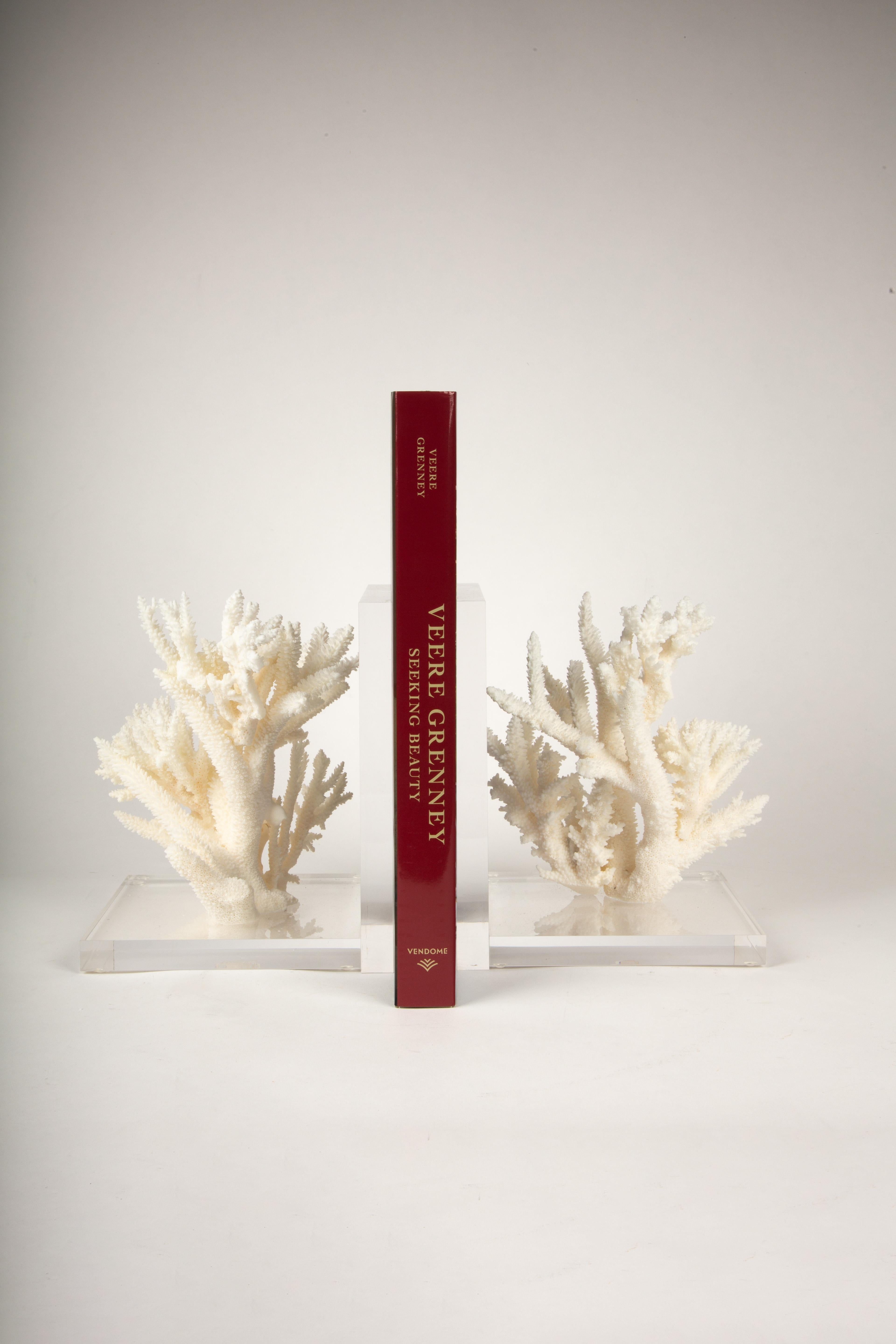 American Coral Specimen Bookends For Sale