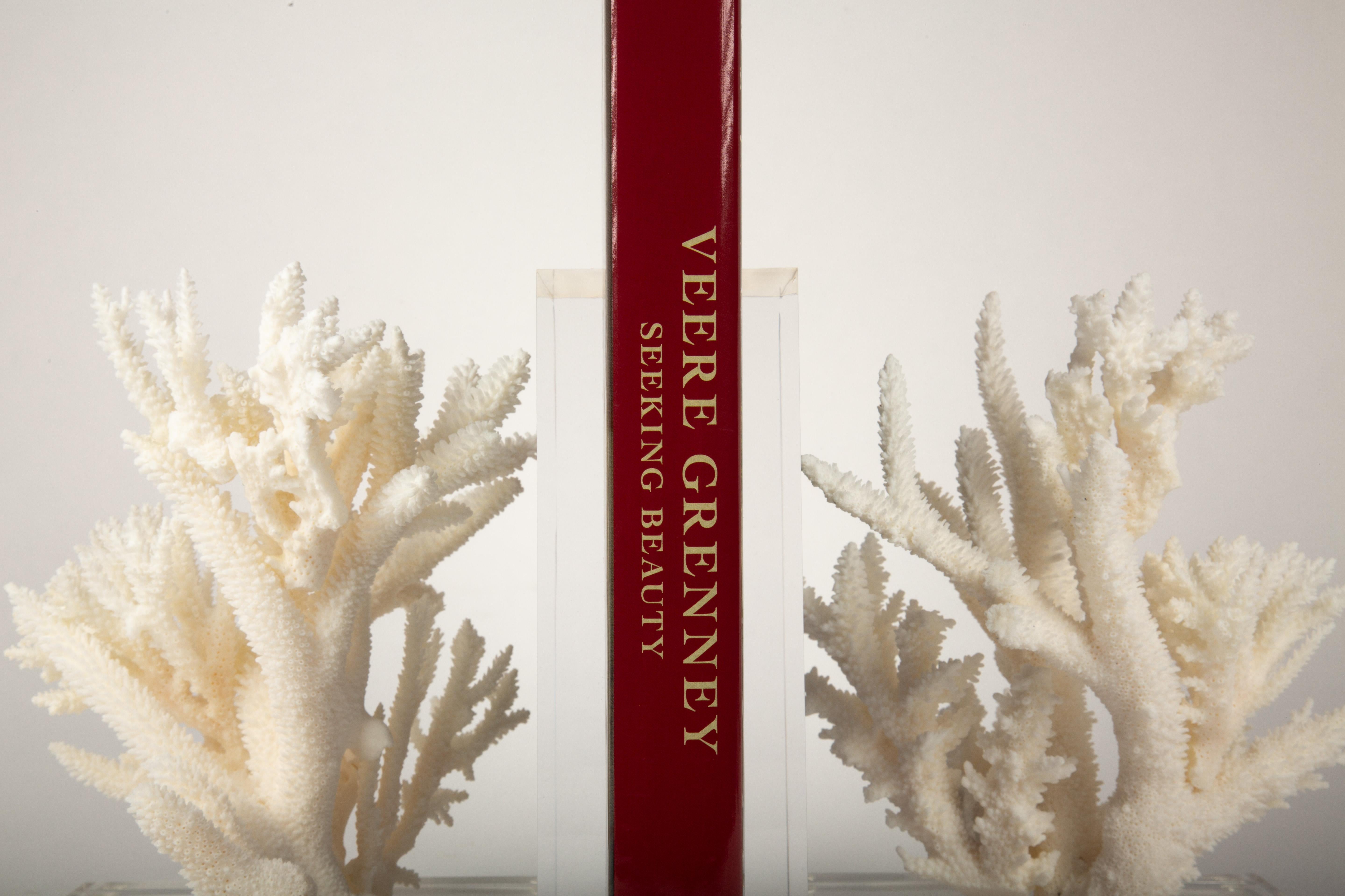 Coral Specimen Bookends In New Condition For Sale In New York, NY