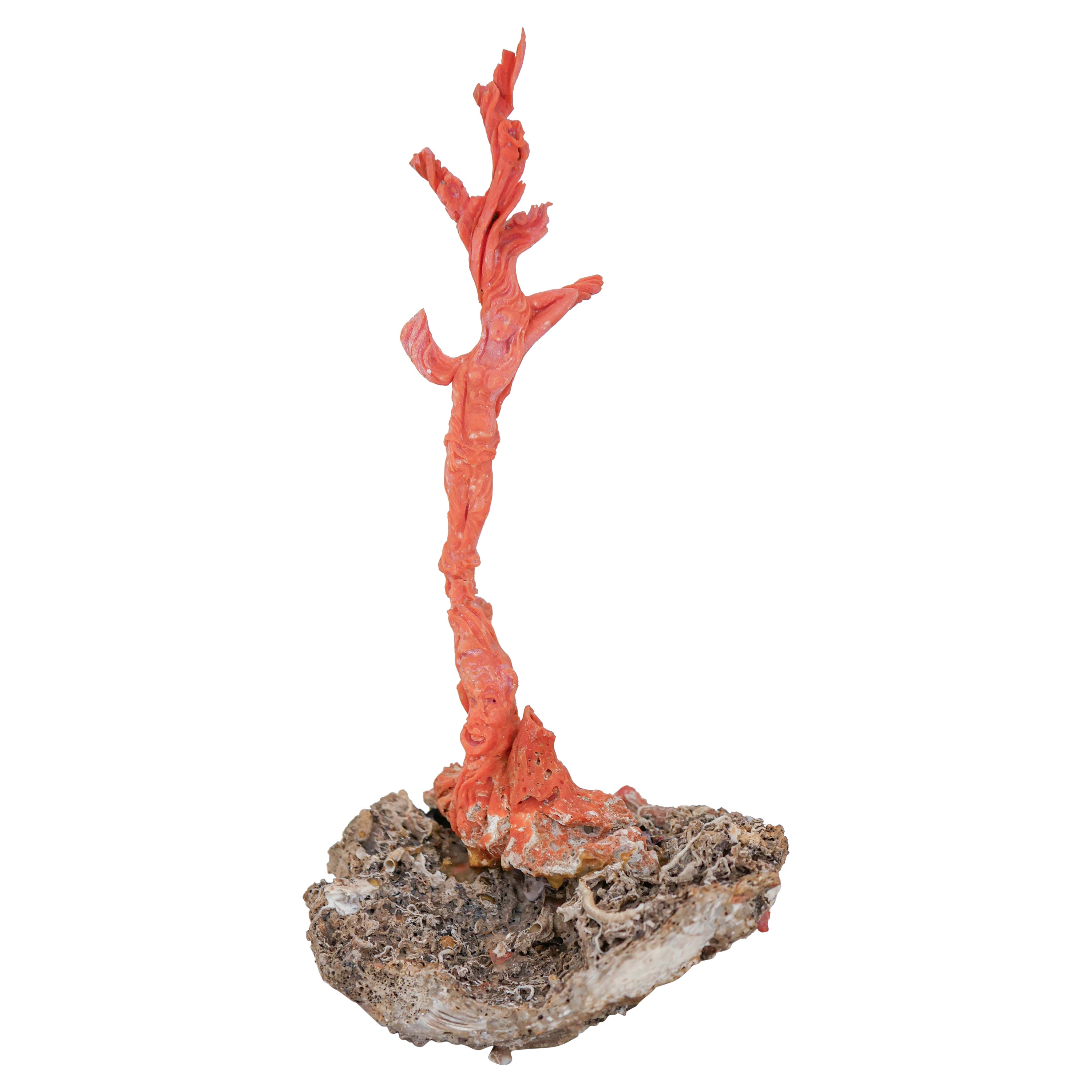 Coral, Stone Sculpture.