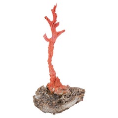 Coral, Escultura de piedra.