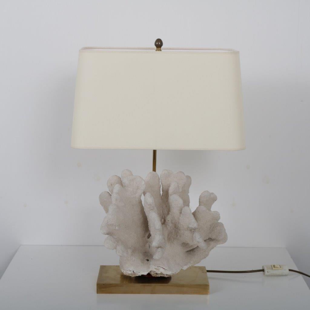 A rare table lamp holding a large piece of coral, manufactured in Belgium around 1970.

The lamp has a beautiful  golden coloured base with brass arm, holding a beige fabric hood in rectangular shape. The true eye-catcher is the large piece of coral