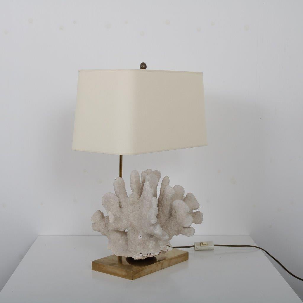 Late 20th Century Coral Table Lamp from Belgium, 1970 For Sale