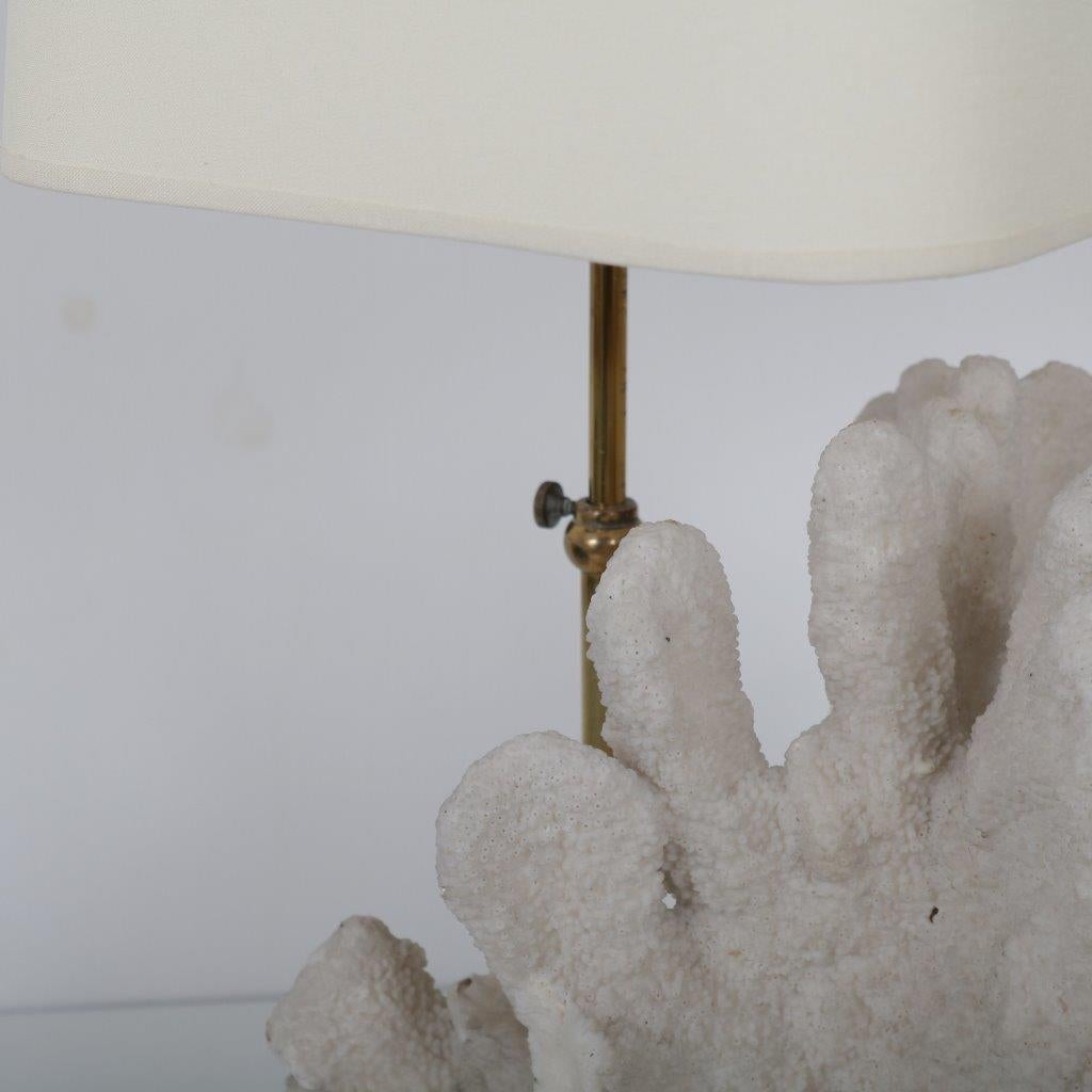 Brass Coral Table Lamp from Belgium, 1970 For Sale