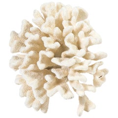 Coral, Vintage, White, Large