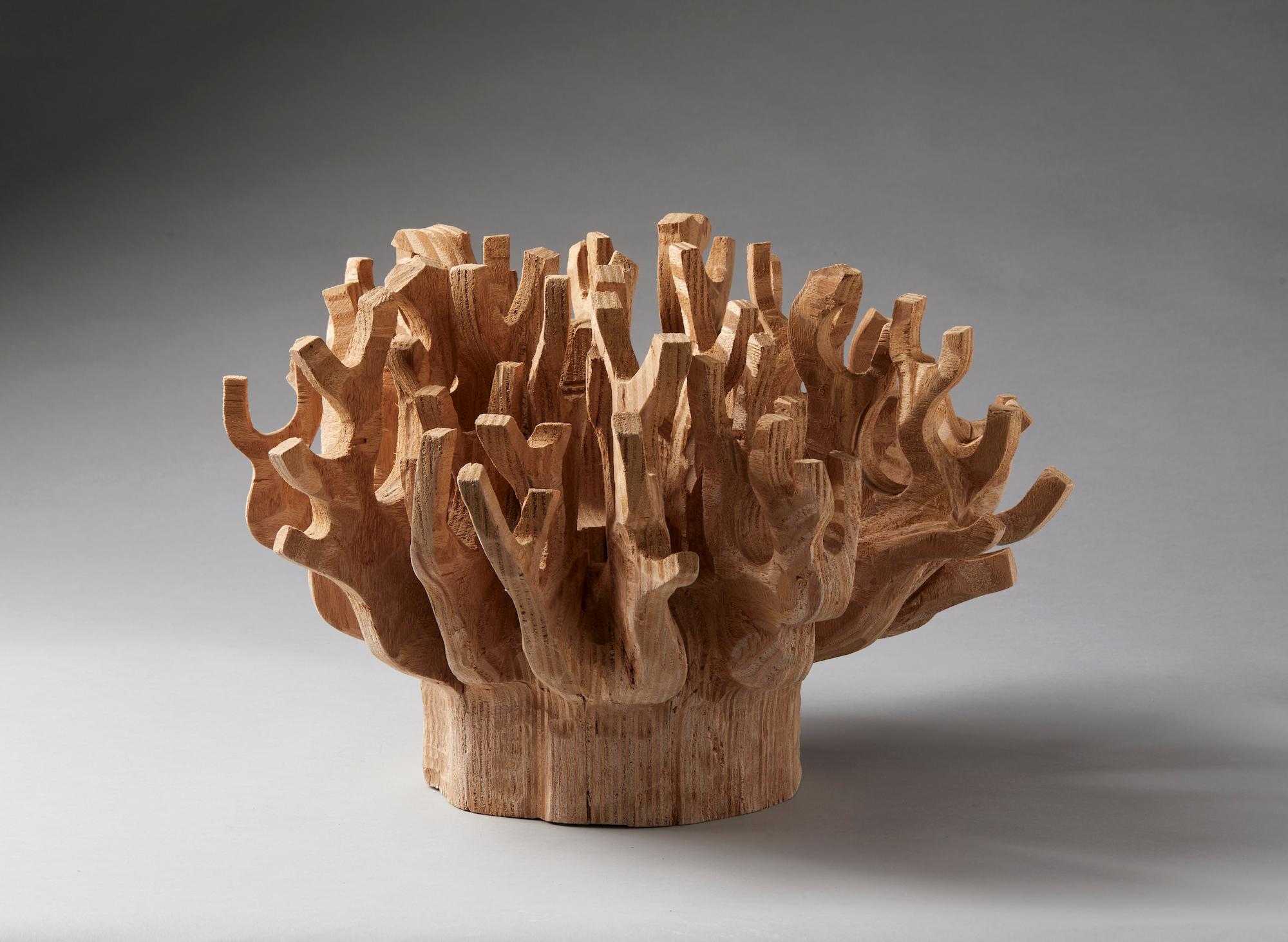 Giuseppe Rivadossi (Nave, July 8, 1935)

Coral, 2008
made of carved okumé plywood
on a wooden base also by Maestro Giuseppe Rivadossi

Size:
height 35 x 50 x 54 cm
base: 110 x 28.5


Giuseppe Rivadossi
Having inherited an interest in art from his