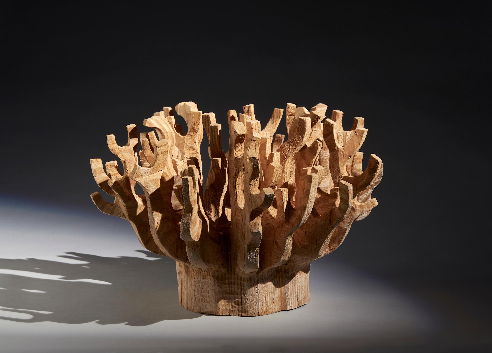 Wood Coral, 2008 For Sale