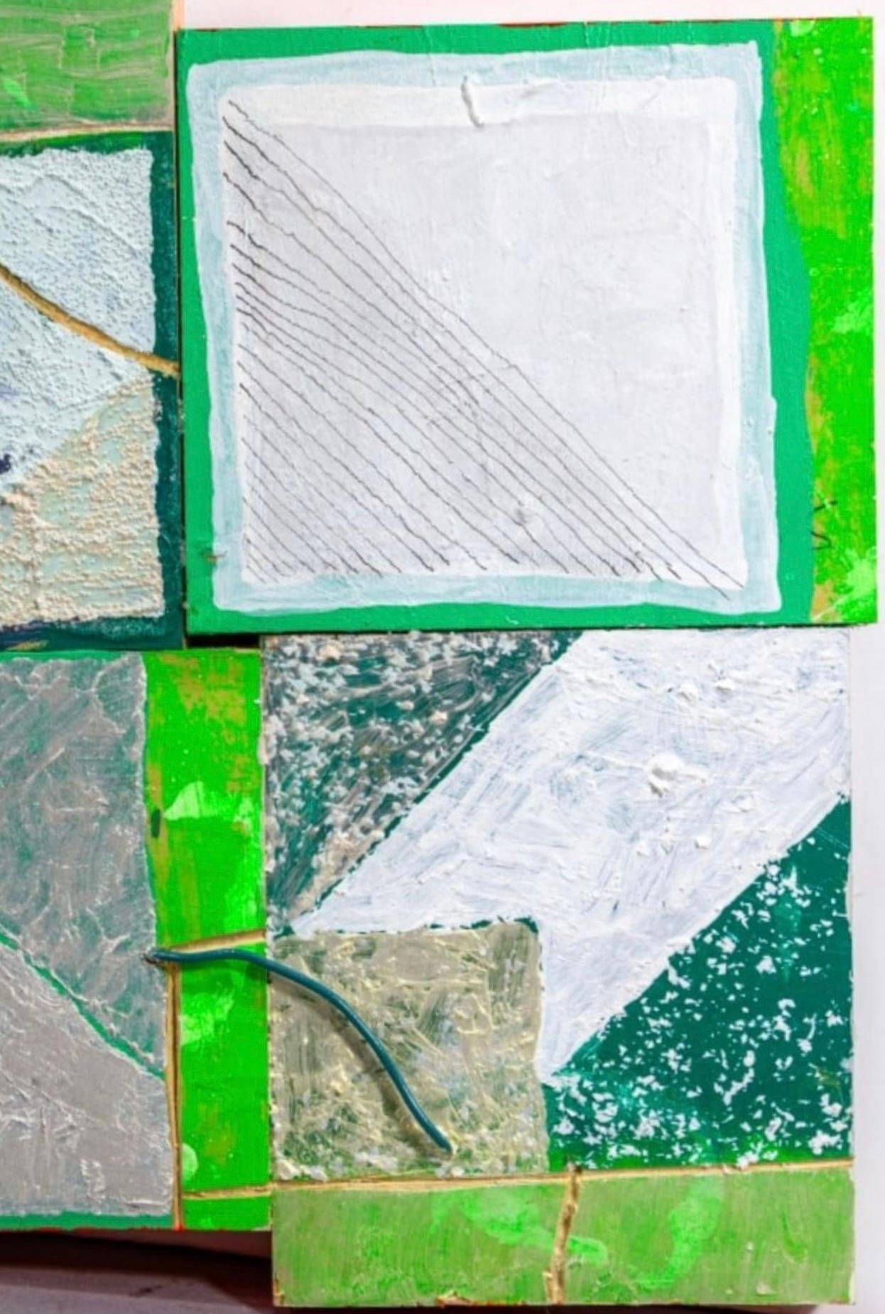 Cordy Ryman „Green Draht neu aufgelegt“ 2011 (amerikanisch) im Angebot