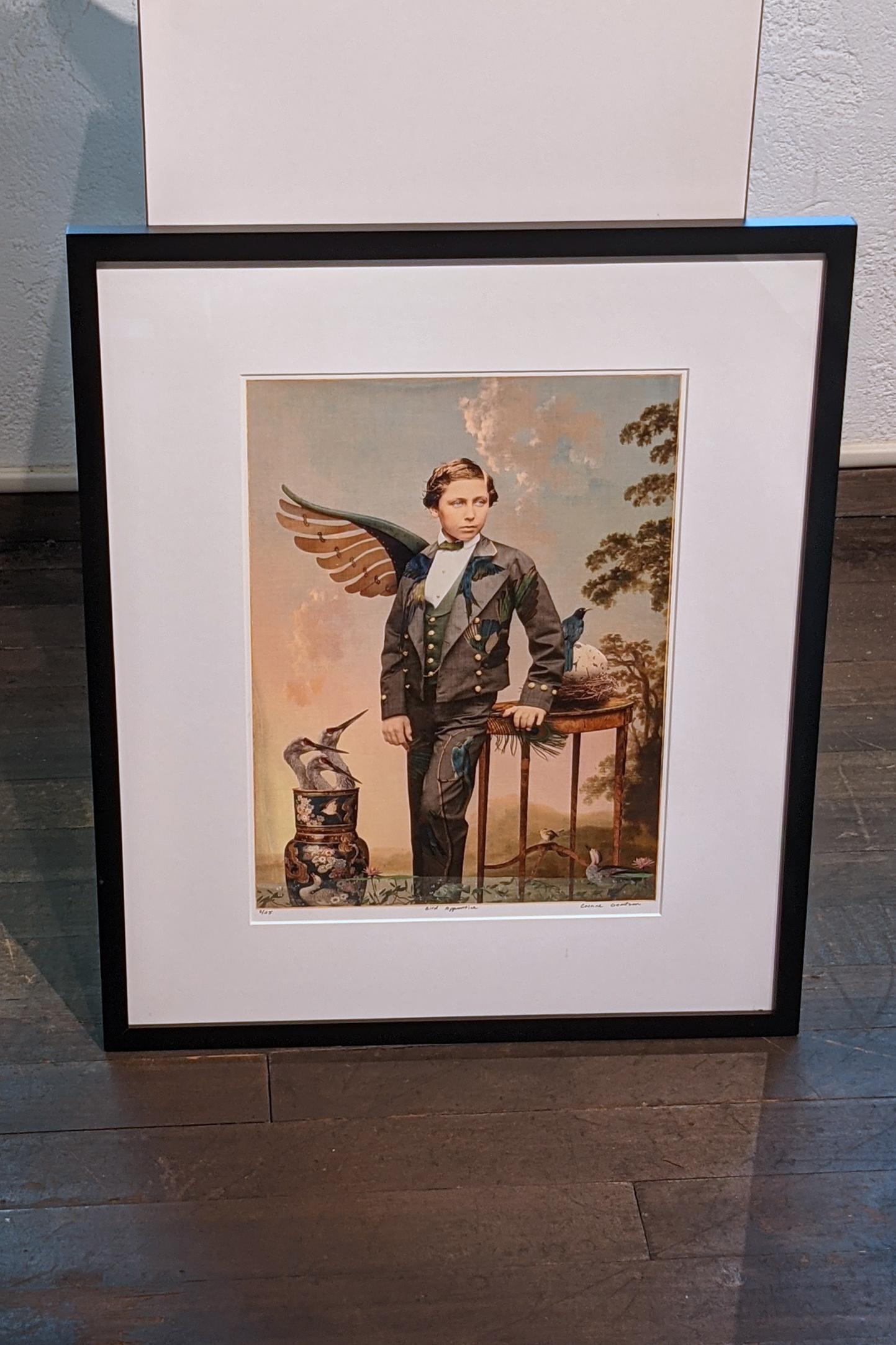 Bird Apprentice - Print by Corinne Geertsen