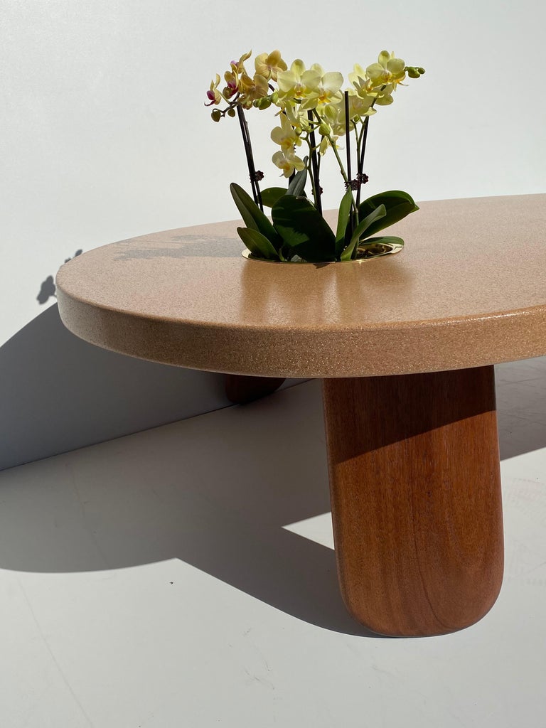 Cork and Mahogany Coffee Table with Planter or Beverage ...