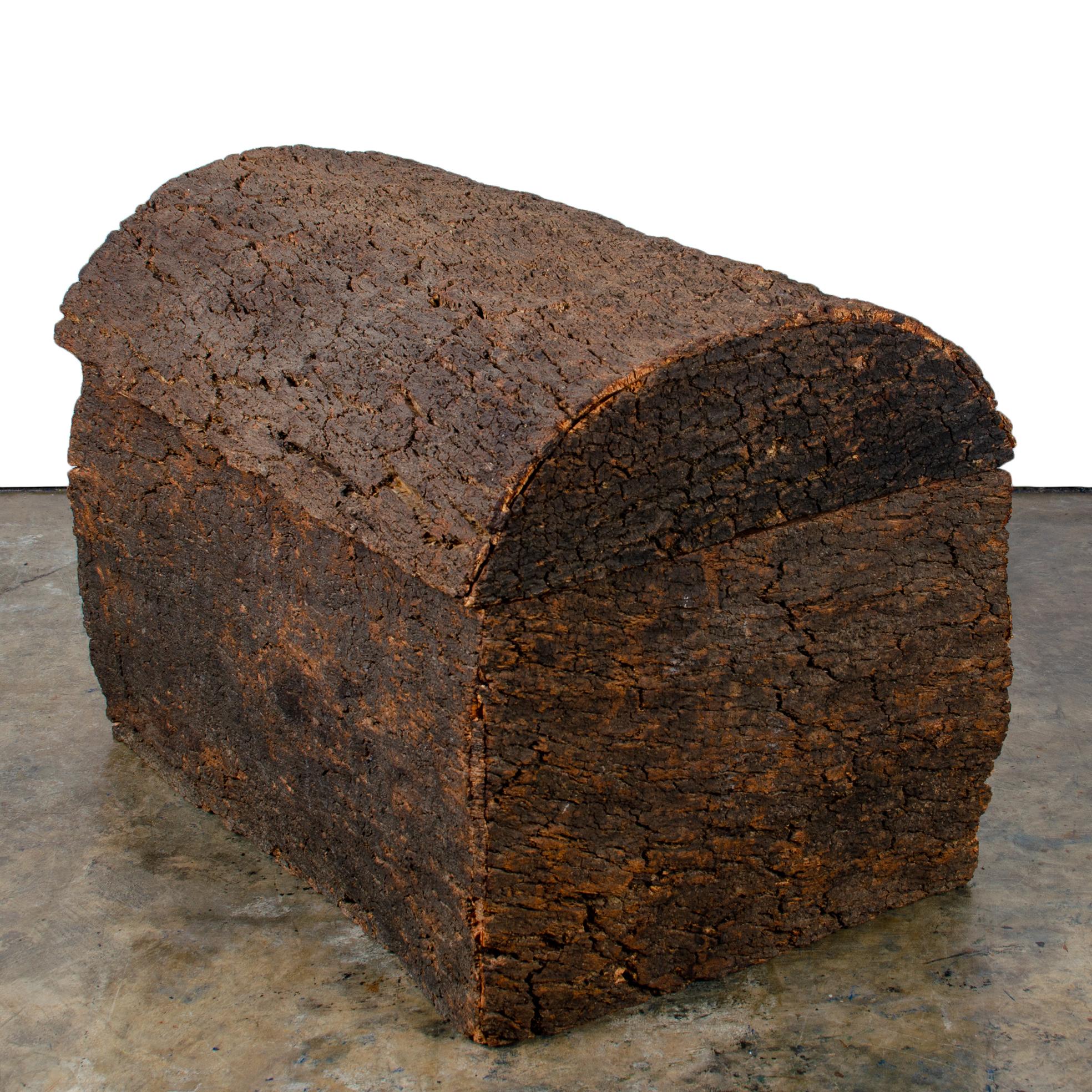 American Cork Bark Trunk For Sale