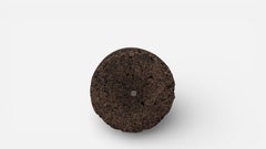 Cork by Jasper Morrison for Moooi