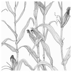 Corn Rows in Black and White on Smooth Paper