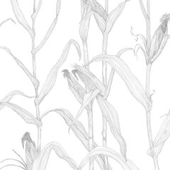 Corn Rows in Harvest on Smooth Paper