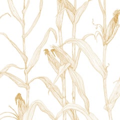 Corn Rows in Morning Mist on Smooth Paper