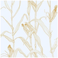 Corn Rows in Morning Mist on Smooth Paper