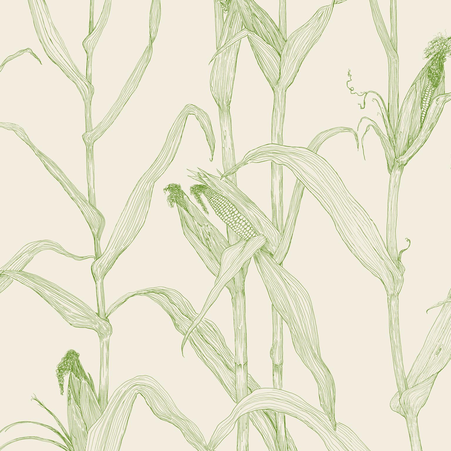 Inspired by and hand drawn from a cornfield in Maryland. Intended to bring peace and spaciousness to a wall by depicting corn stalks in large scale and beauty. 

Sold by the roll 
Roll Size: 42” wide by 9’long (comes in 54” wide untrimmed