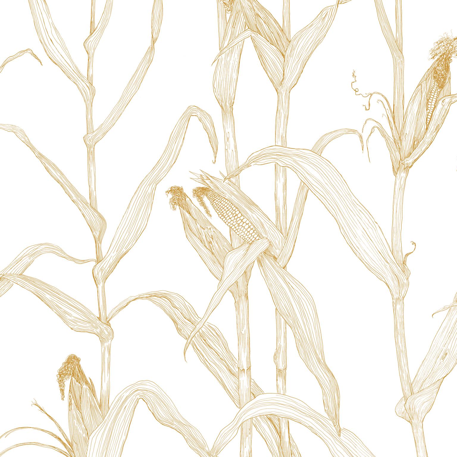 American Corn Rows in Summer Green on Smooth Paper For Sale