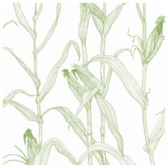 Corn Rows in Summer Green on Smooth Paper