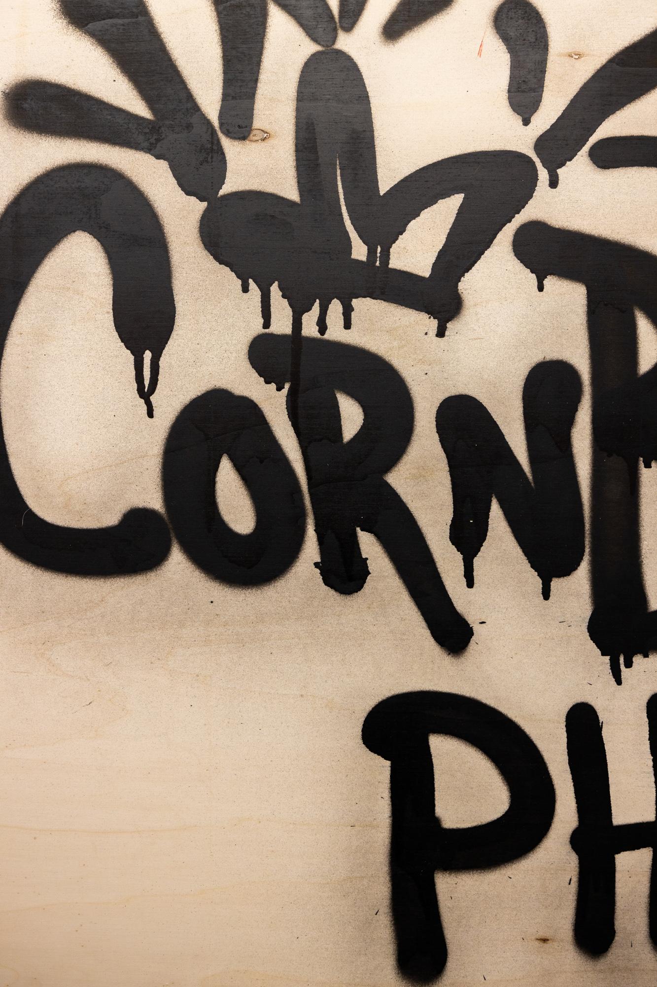 « Fresh Cut: Cornbread Philly », acrylique sur bois, graffiti, Street Art en vente 6