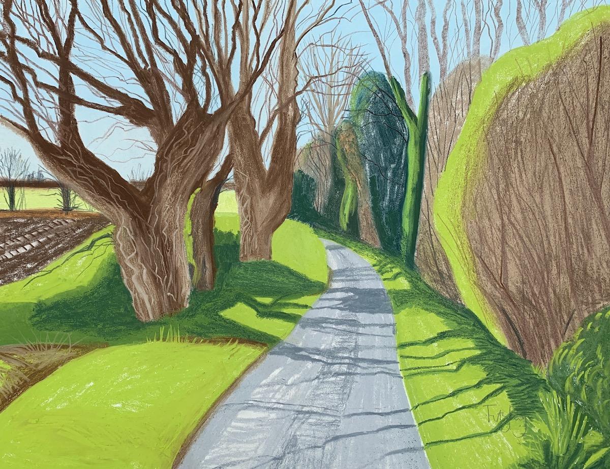 Trois vieux chênes de Cornelia Fitzroy,  Paysage, dessin de nature, botanique