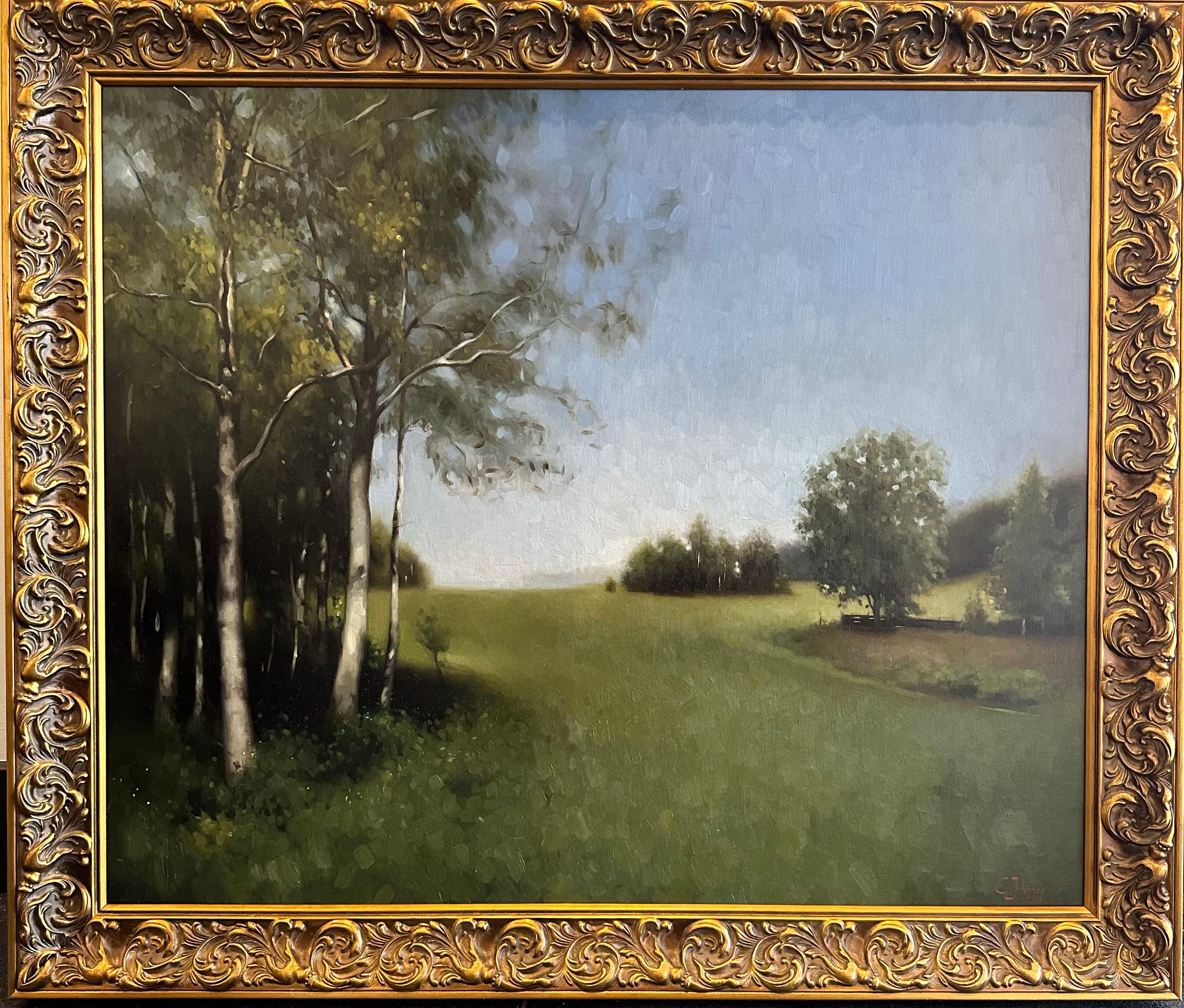 Paisaje Nórdico de Verano 1