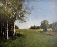 Paisaje Nórdico de Verano