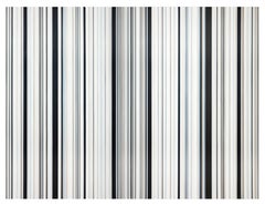 Stripes Nr 102 + 103 [Diptych]