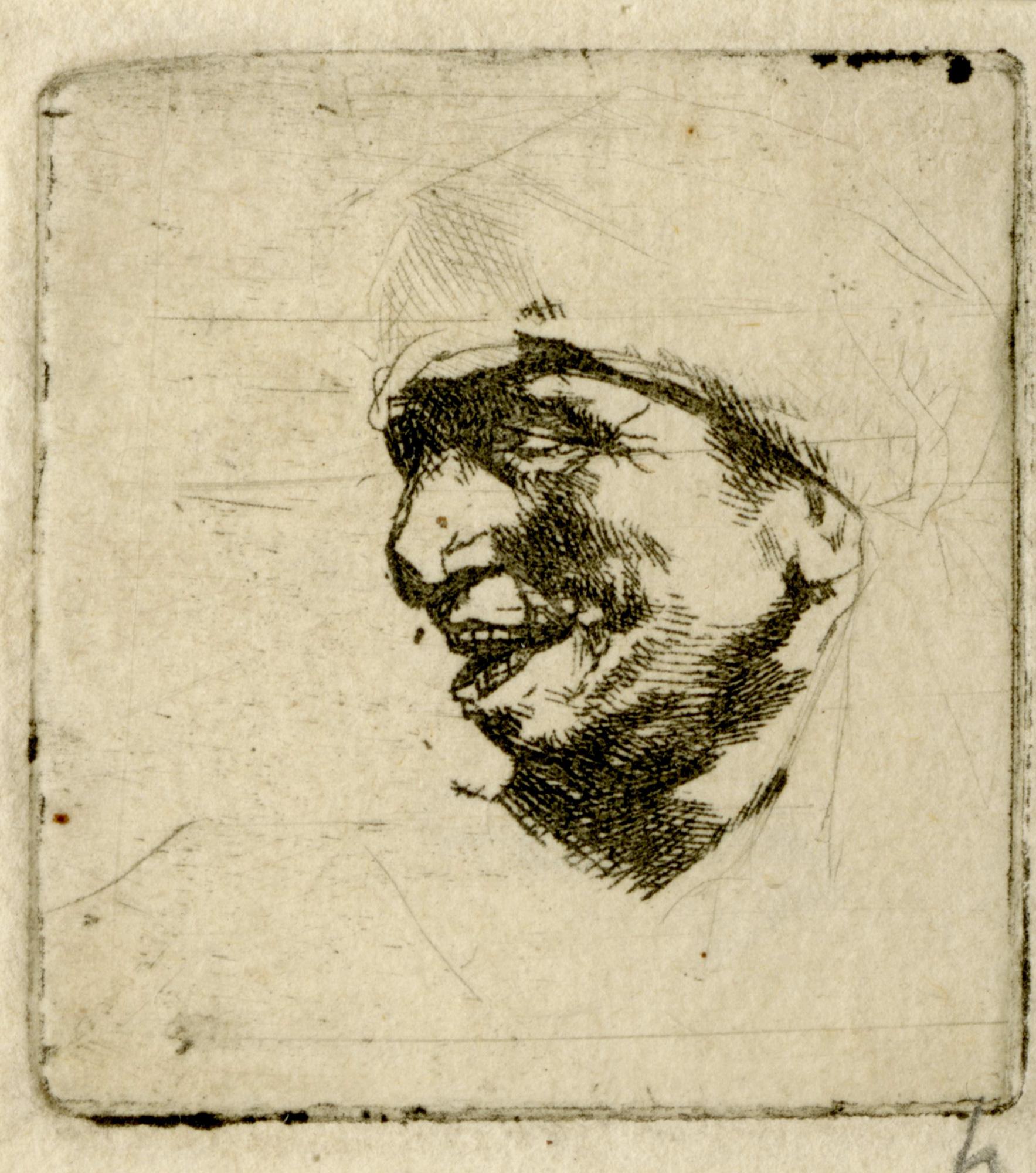 Cabeza de campesino risueño