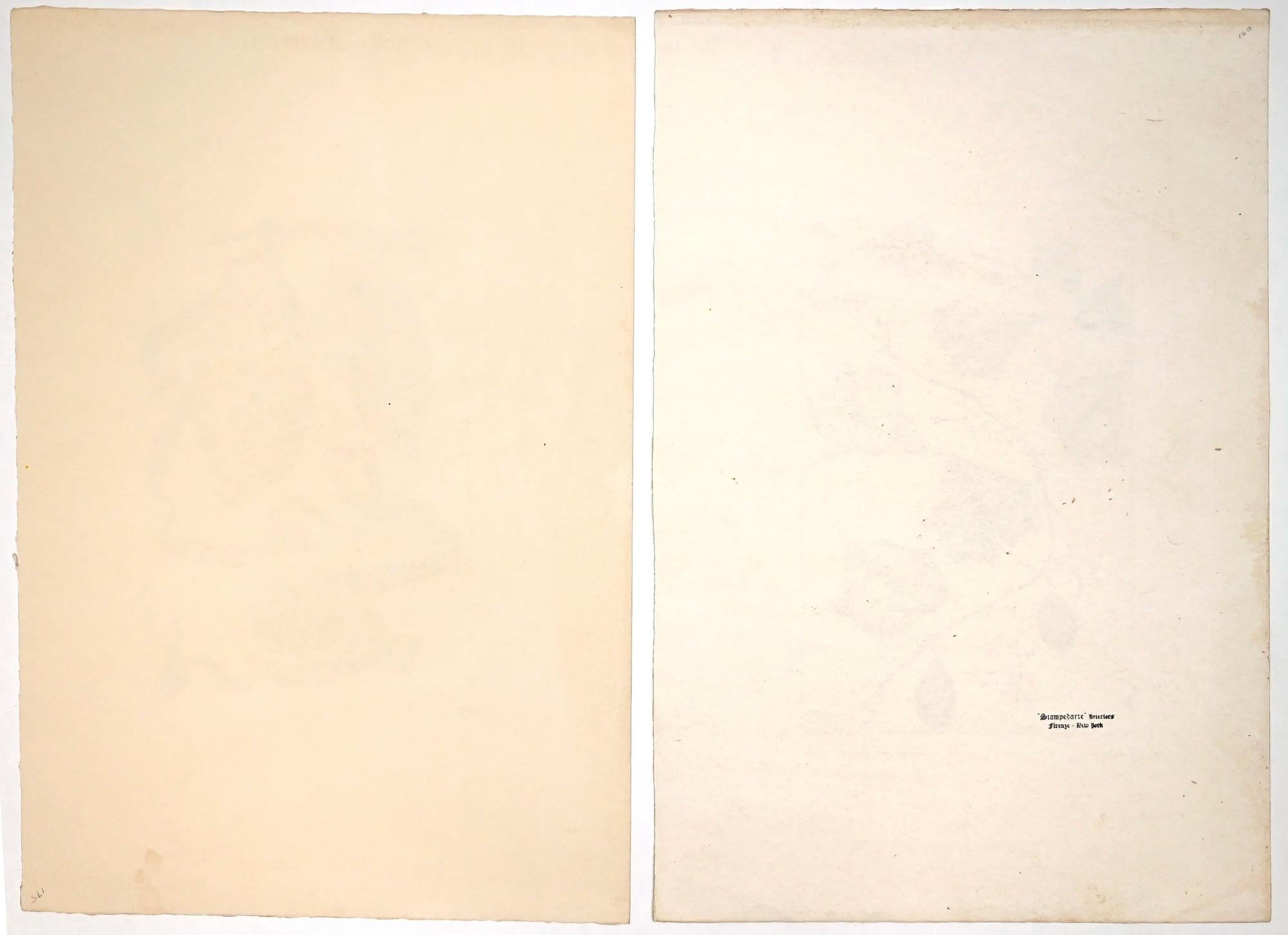 Zwei botanische Drucke nach Cornelisi Bloemaert und Vincenzo Leonardi – Print von Cornelis Bloemaert
