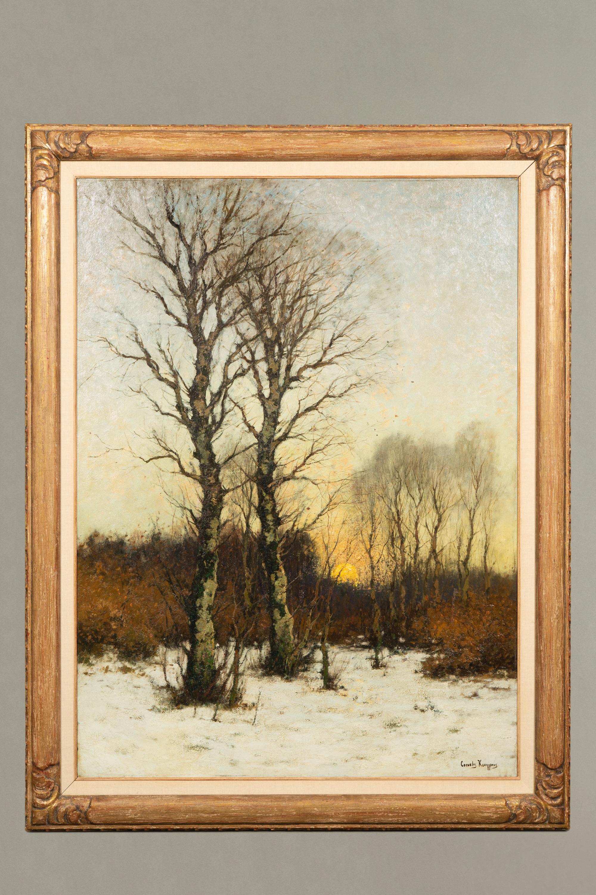 Sonnenuntergang in einem Winterwald