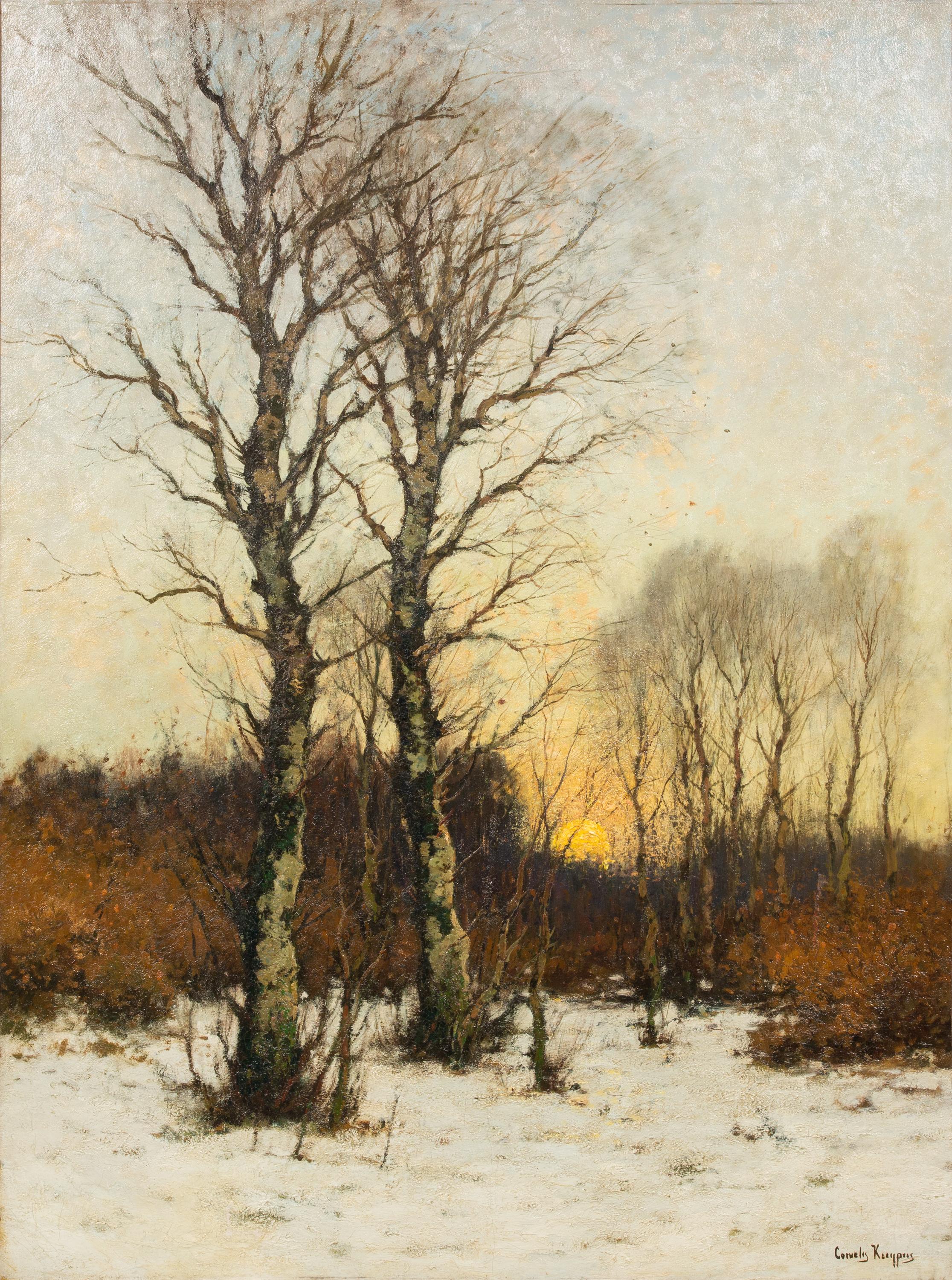 Sonnenuntergang in einem Winterwald