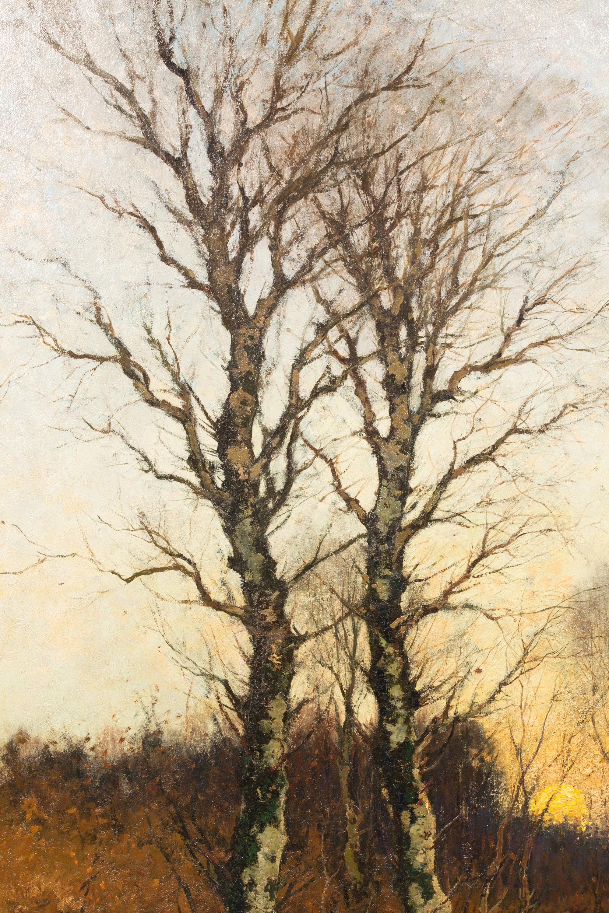 Sonnenuntergang in einem Winterwald