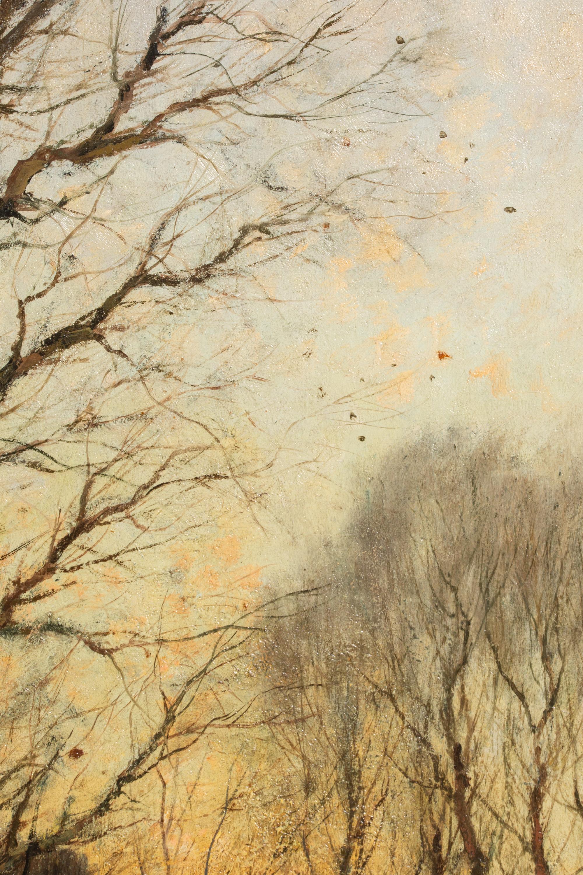 Sonnenuntergang in einem Winterwald
