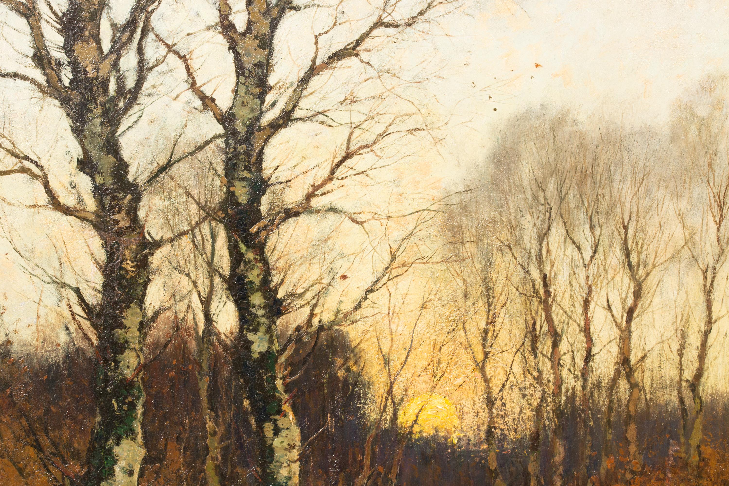Sonnenuntergang in einem Winterwald