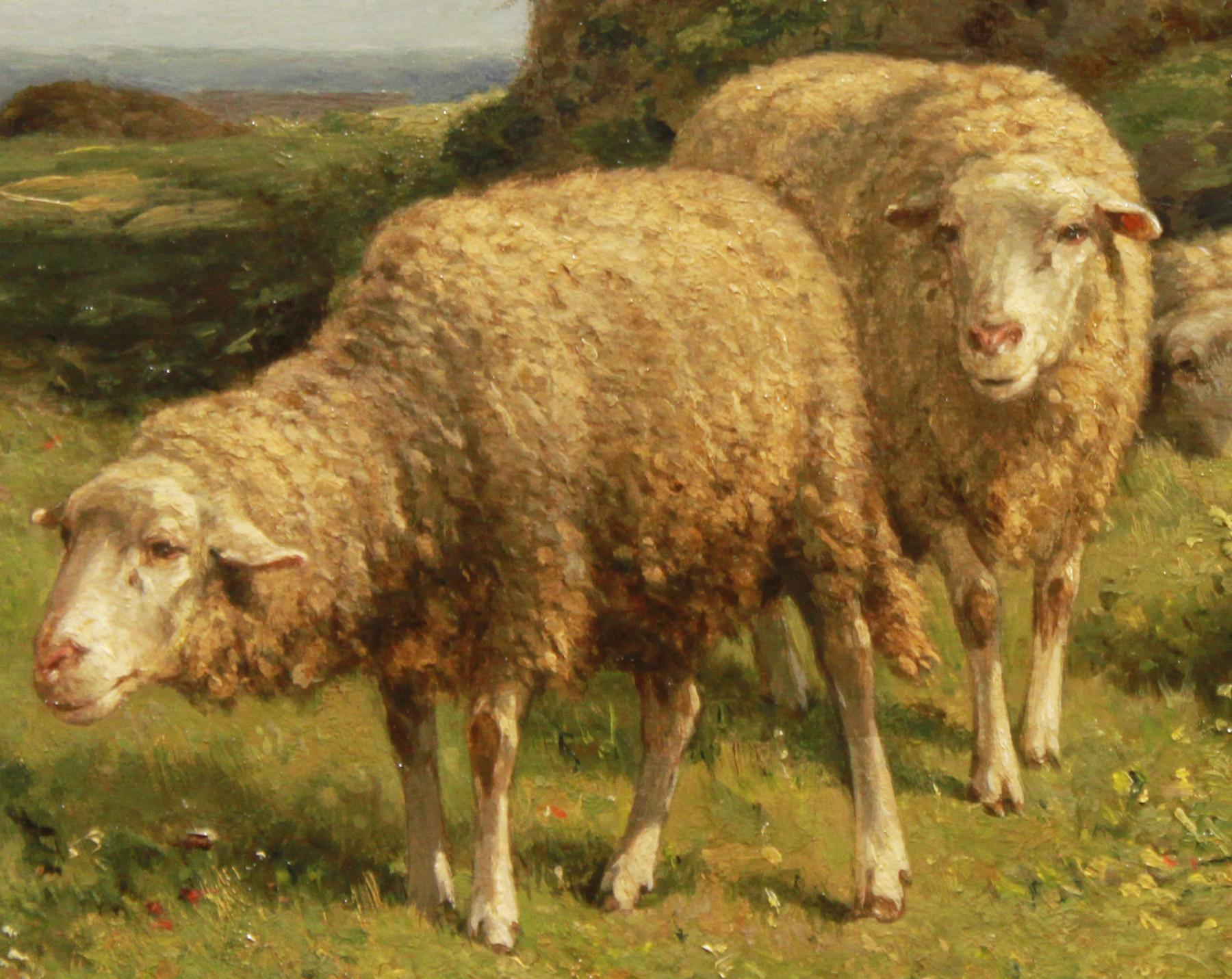 Sheeps in the pasture - Painting by Cornelis van Leemputten