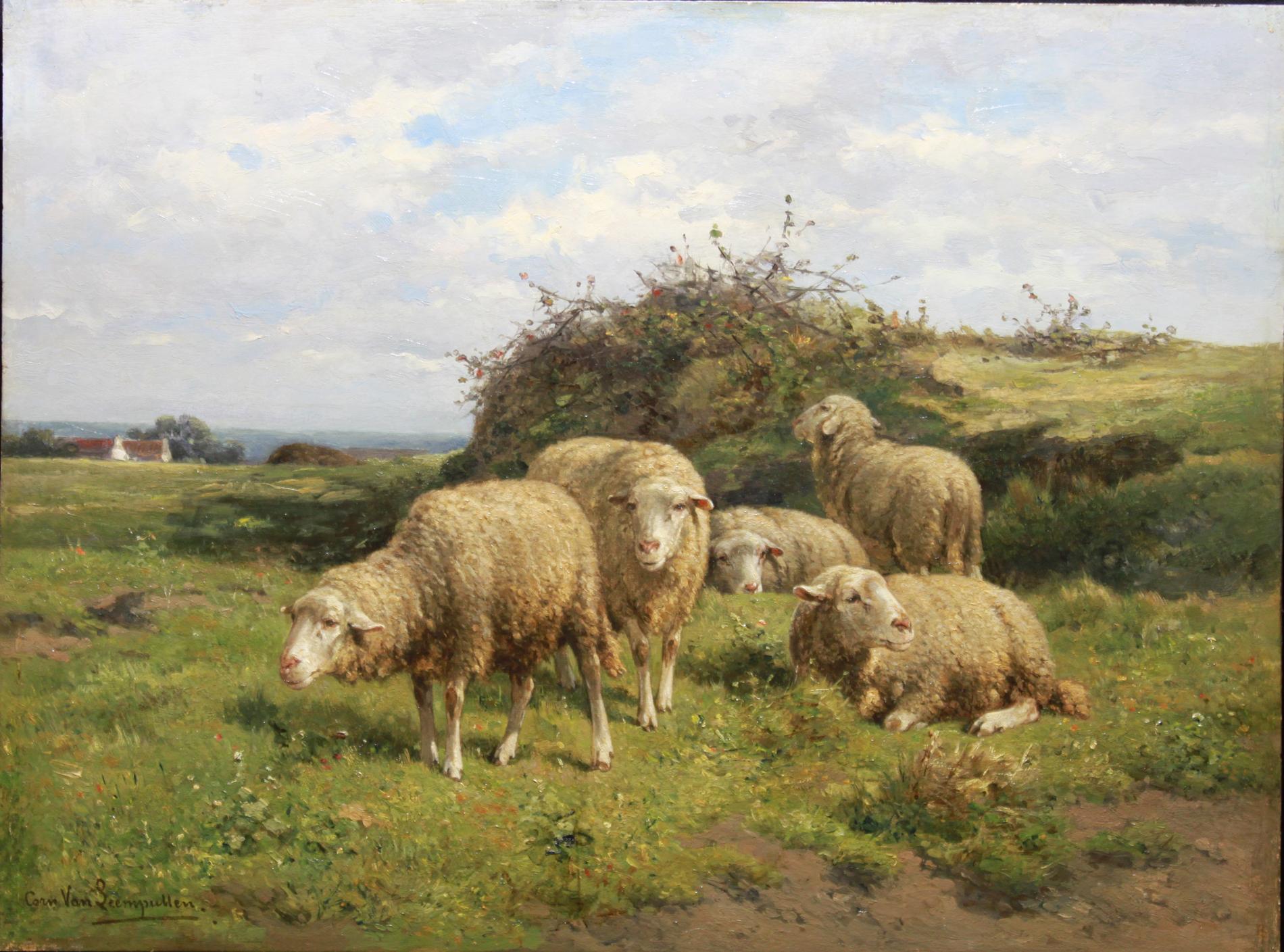 Cornelis van Leemputten Landscape Painting - Sheeps in the pasture