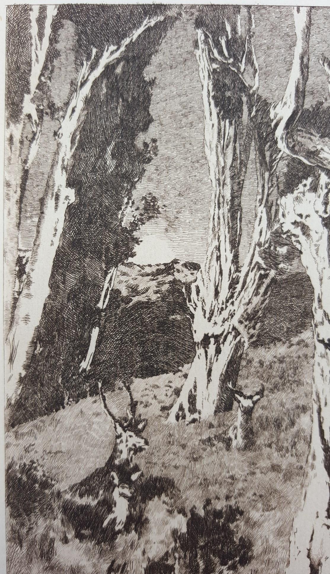 La Douleur d'Orphée /// Paysage français Cerf Femme Dame - Gris Landscape Print par Cornelius Ary Renan