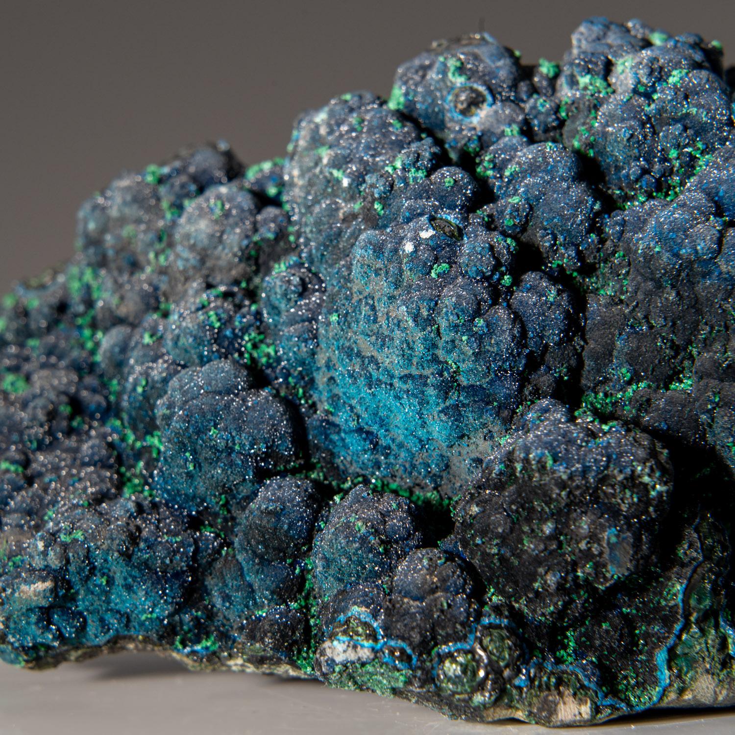 

From Kolwezi, Katanga, Democratic Republic of the Congo (Zaire)

Colorful specimen of lustrous translucent blue cornetite crystals with translucent green malachite crystals covering the surfaces of brown matrix. The cornetite crystals look