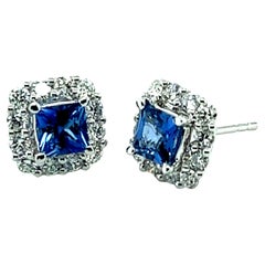 Cornflower Blue Sapphire and Diamond Pave Stud Earrings in White Gold